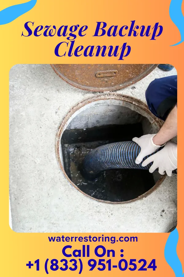 Sewage Backup Cleanup in Marquette, NE
