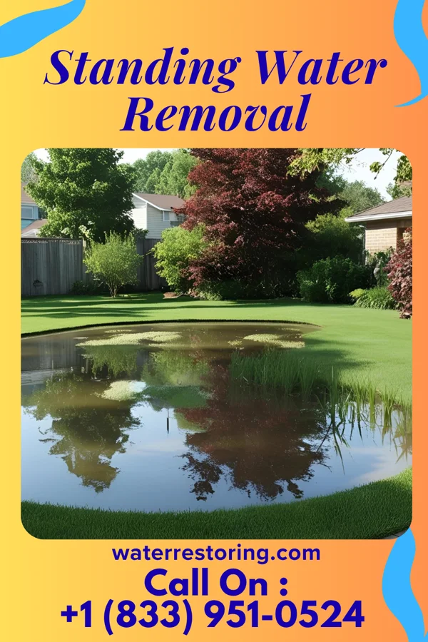 Standing Water Removal in Marquette, NE